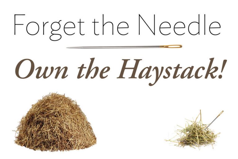 Own the Haystack