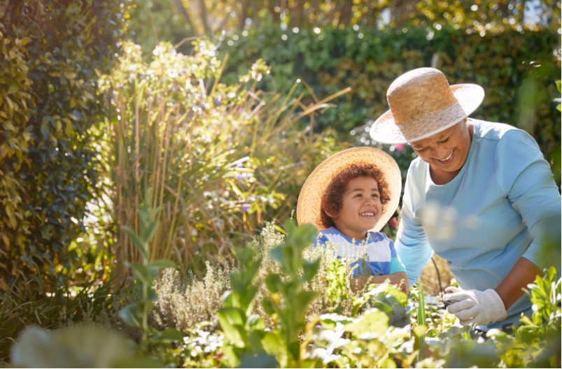 Transition into retirement
